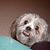 Jennifer Jones Gott's profile image