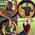 Adina Cook's profile image