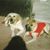 Maria Susana Arrieta's profile image