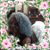 Brenda Jones's profile image