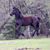 Jill Clayton's profile image