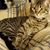 Donna J Ramsey's profile image