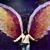 Lakisha Johnson's profile image