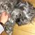 Freddie Seekamp's profile image