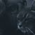 Ashley Dusseau's profile image