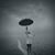 Maryanne Razzo's profile image