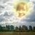 Miranda Imperi's profile image