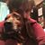 Sue Jesse Sargeant's profile image