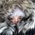 Cyndi Eitrem Schaubert's profile image