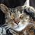 Jane Ellen Santoni's profile image