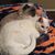 Barbara Borowski's profile image