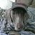 Loo Trickett's profile image