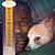 Raymond Spence's profile image
