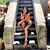 Shawana Lee's profile image