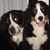 Analia Devoto's profile image