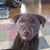 Corena Wilkins's profile image