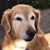Jolie Kosh's profile image