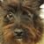Shannon Schiller Richardson's profile image