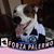Lisa Cannata's profile image