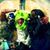 Diego Ontiveros's profile image