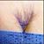 Mike Hamer's profile image