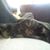 Rocky Shane Eadie's profile image