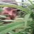 Dave Lillis's profile image