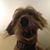 Laura Bachmeyer's profile image