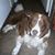 Doug McCullough's profile image