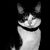 Woch Wochh's profile image