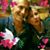 Marie Christine Idier's profile image