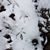 Tricia Schacht Swietek's profile image