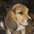 Steven Cunningham's profile image