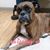 Nikkie Holderman's profile image