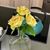 Lucia Regalado's profile image