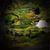 Terrall Budge's profile image