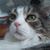 Thomas Dolt's profile image