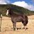 June Johnson's profile image