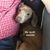 Lorraine Raley's profile image