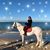 Marite Traverso's profile image