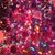 Lynn Knepp Edson's profile image