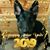 Wendy Pavliscsak's profile image