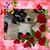 Mckinzee Burnett's profile image