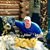 Johnny Morris's profile image