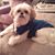 Karen Achey's profile image
