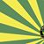 Dion Rives's profile image