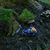Linda Celentano-Simard's profile image