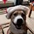 Dawn Jarus Tyler's profile image