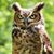 Michael LaTour's profile image