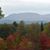 Margaret Courtright's profile image